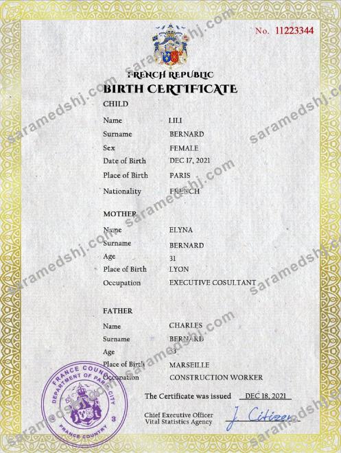 France vital record birth certificate PSD template